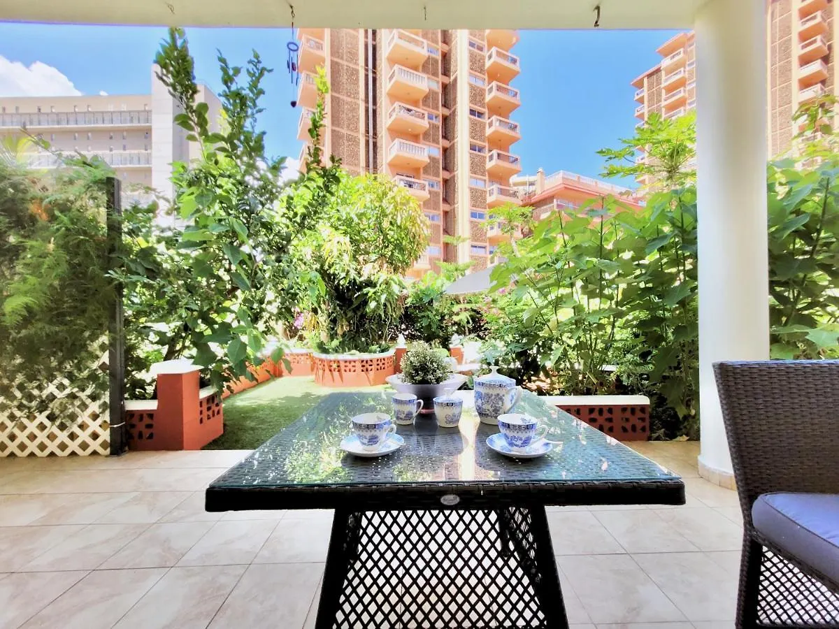 Magnolia House Appartement Puerto de la Cruz  0*, Puerto de la Cruz (Tenerife) Spanje