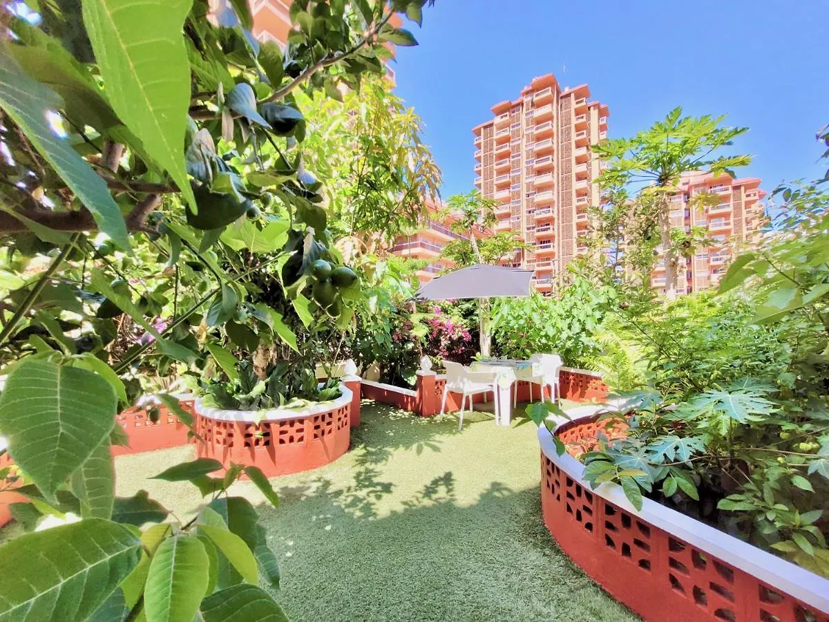 Magnolia House Appartement Puerto de la Cruz