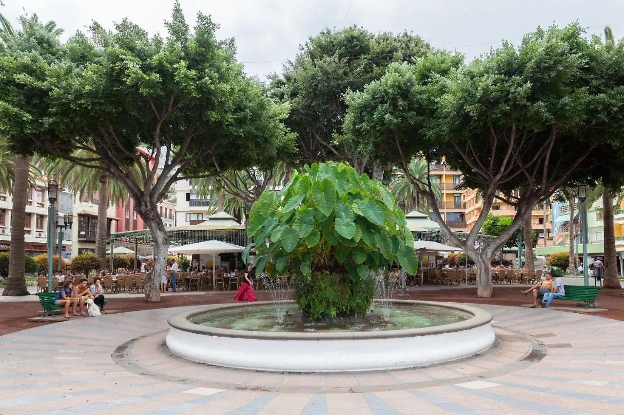 Magnolia House Lägenhet Puerto de la Cruz